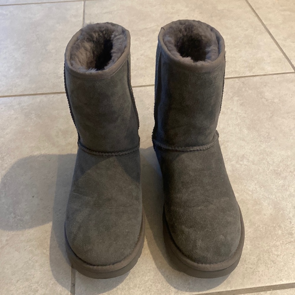 BRAND NEW CLASSIC SHORT UGG